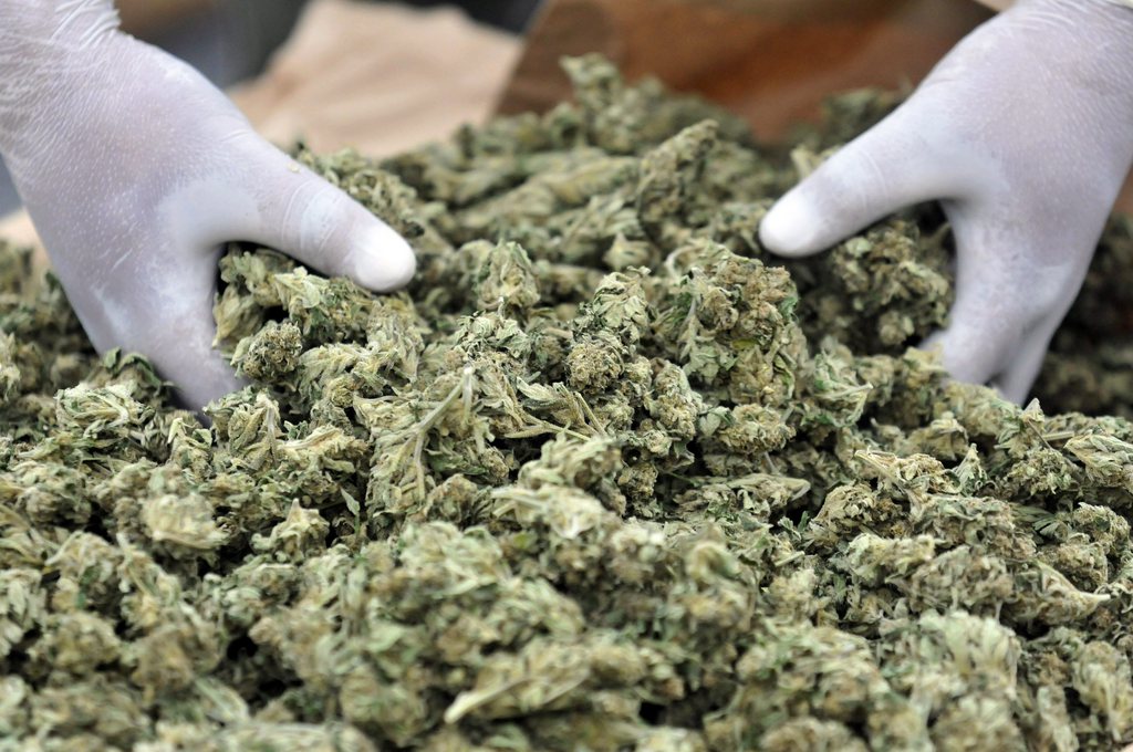 Près de deux tonnes de cannabis dissimulées dans un camion-citerne en provenance d'Espagne ont été saisies à la frontière française.