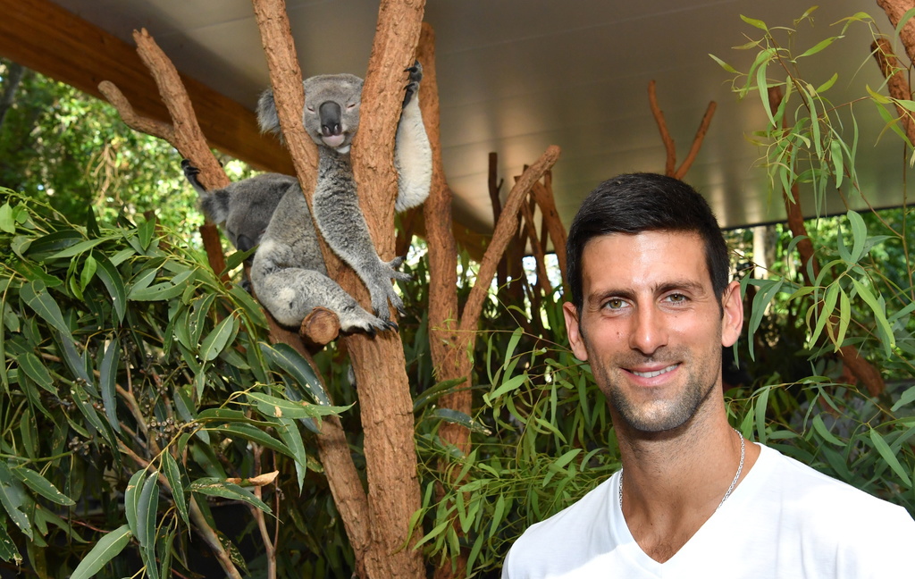 Novak Djokovic participe à la Coupe ATP à Brisbane.