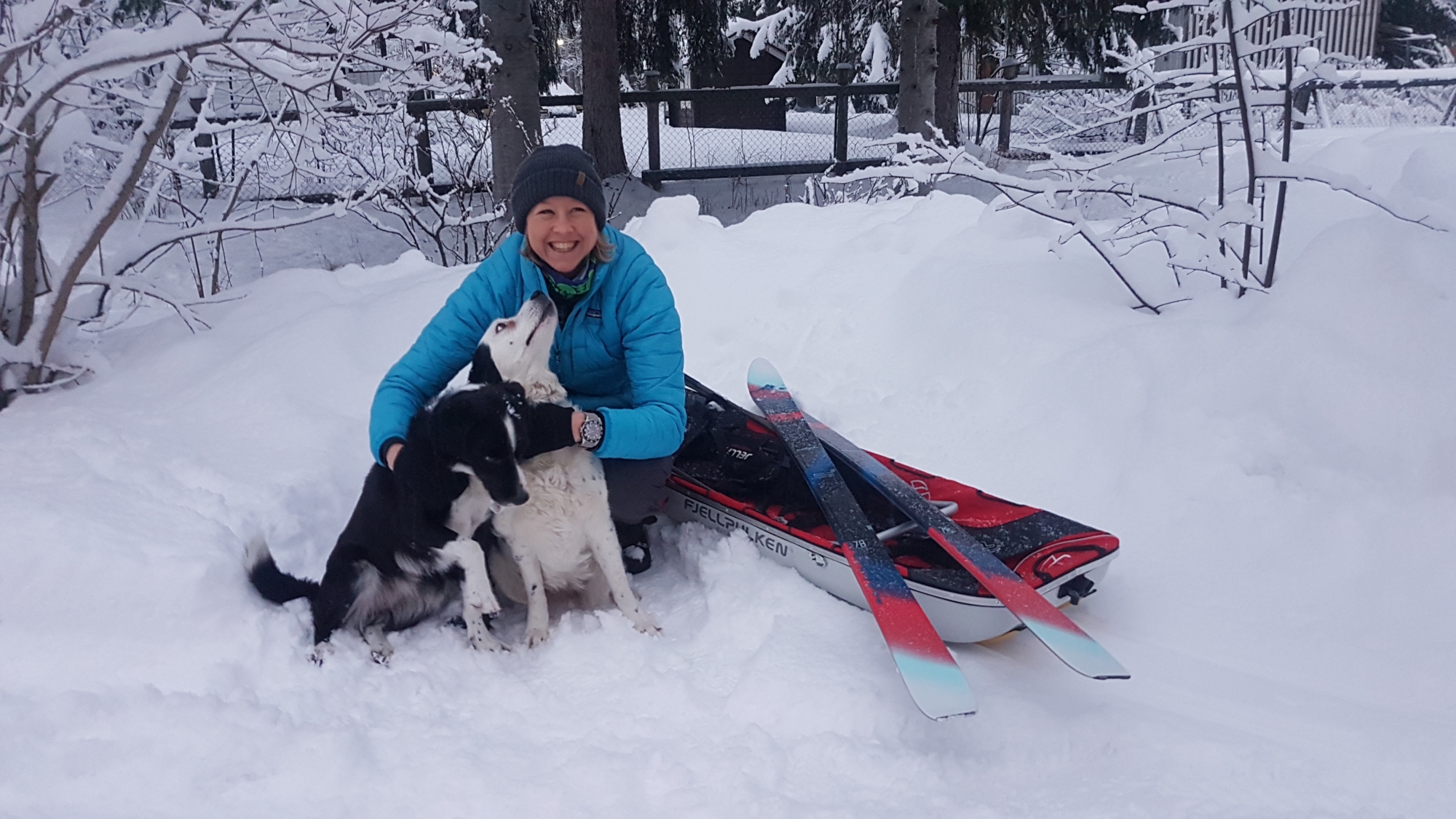 C'est accompagnée de son mari, de ses deux chiens, de son chat et de sa jument que Rachel Frei Bandieri a pris ses quartiers en Laponie.