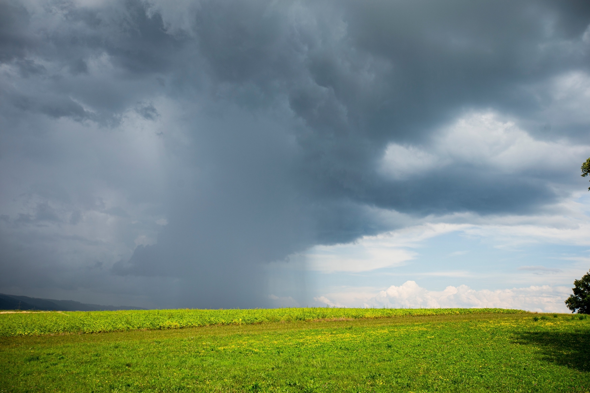 Une grande attention est portée aux nuages pour savoir s'ils apportent de la pluie et des orages, comme ici cet été à Gland. 