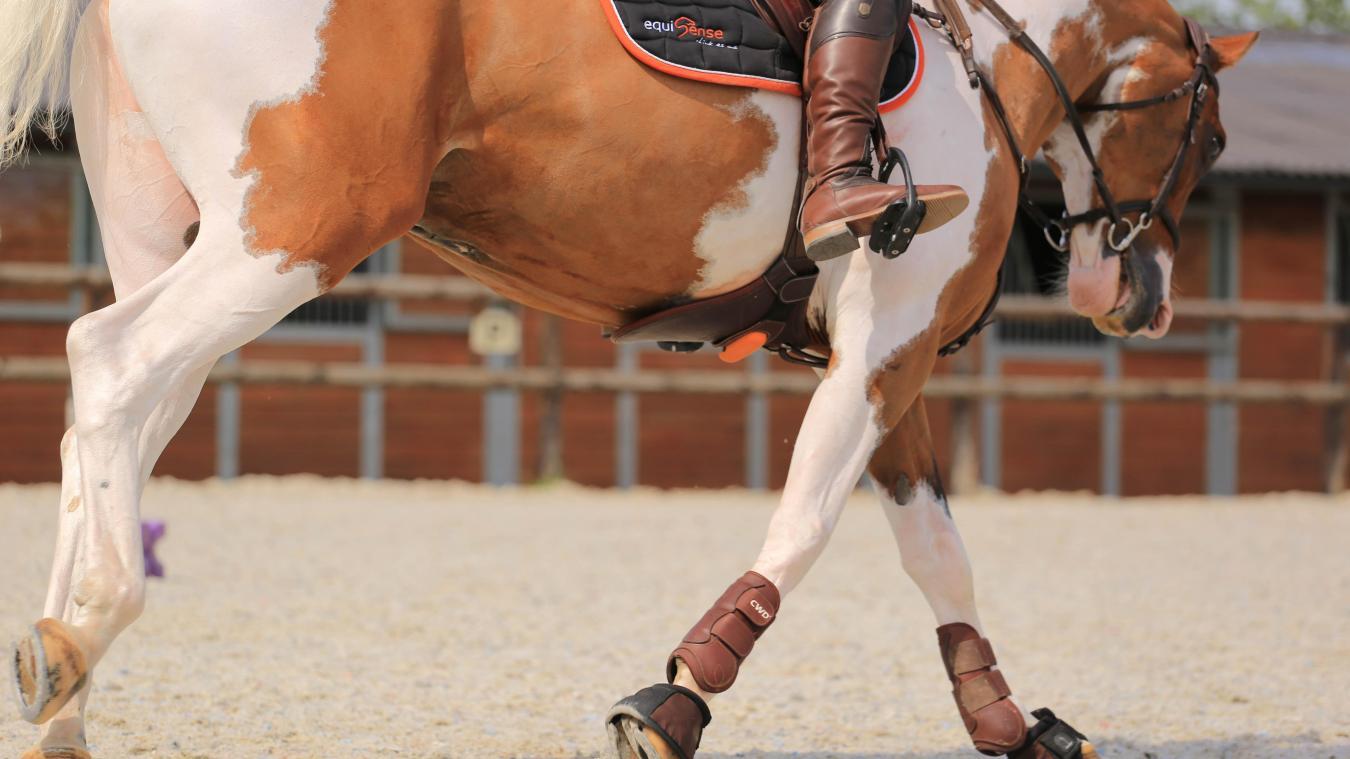 Les objets connectés sont devenus indispensables dans le monde du sport, y compris dans celui de l’équitation.