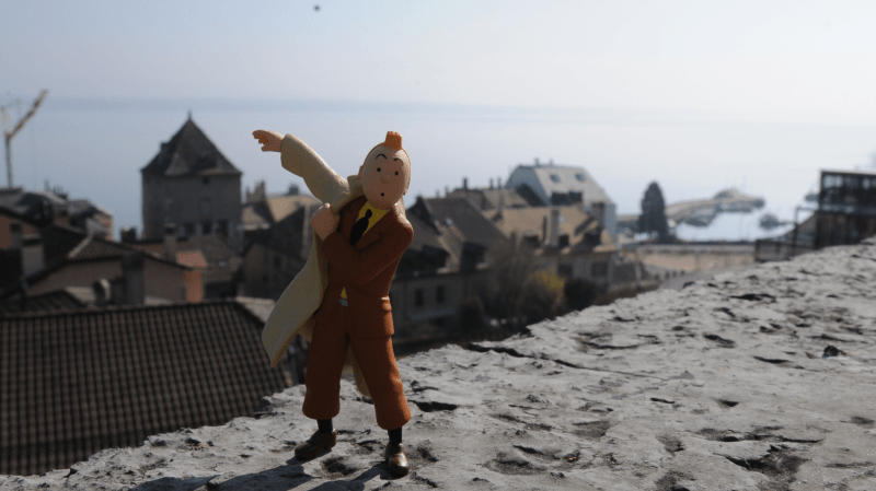 Visite guidée - Hergé, Tournesol & Tintin