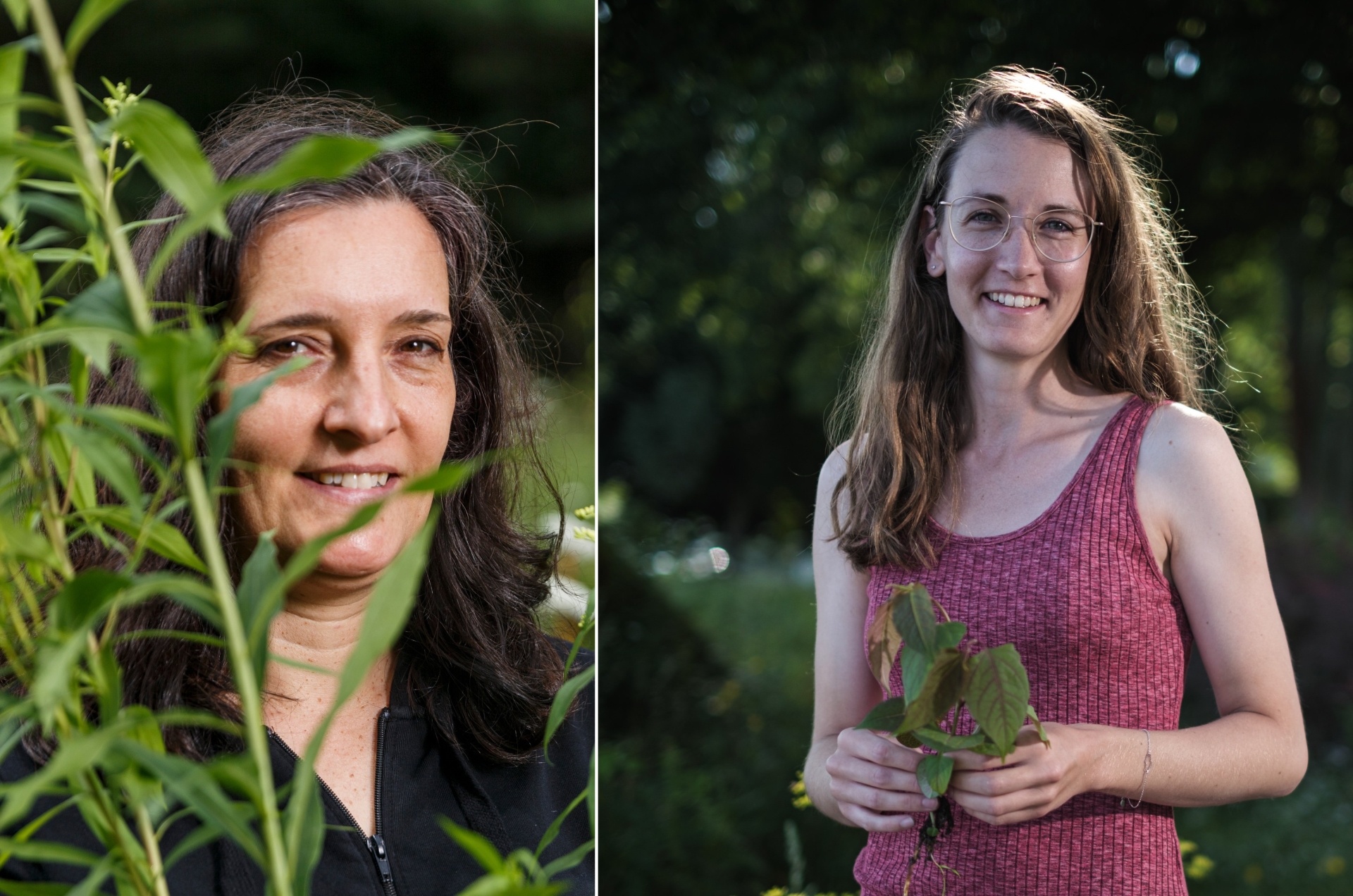 Camille Heller et Roxanne Brenac luttent contre les plantes envahissantes.