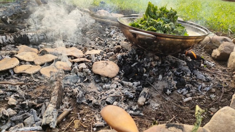 Plantes sauvages, connexion Nature et cuisine feu