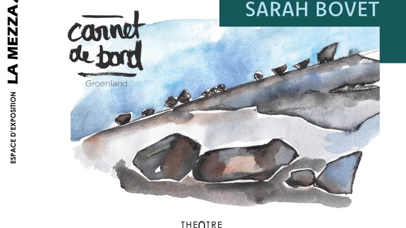 Carnet de bord - Sarah Bovet