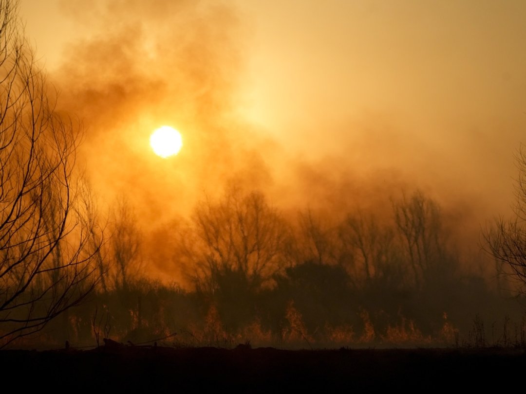 70% des surfaces dévorées par les flammes en 20 ans concernent les forêts boréales, qui recouvrent une grande partie de la Russie, du Canada et de l'Alaska. (illustration)
