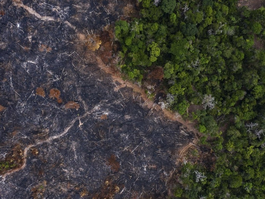 Le Cerrado, où vivent une centaine de peuples indigènes, dans la région centrale du Brésil, est une des savanes tropicales les plus riches au monde en matière de biodiversité (illustration).