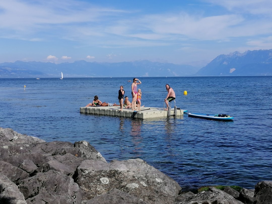 La Municipalité a commencé par une phase-test, l'été dernier, en installant trois plateformes flottantes sur le lac.