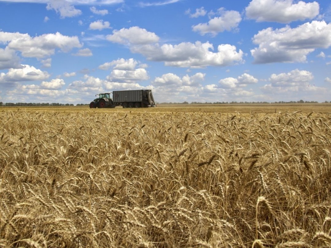 L'accord sur l'exportation de céréales ukrainiennes devrait être prolongé de 120 jours.