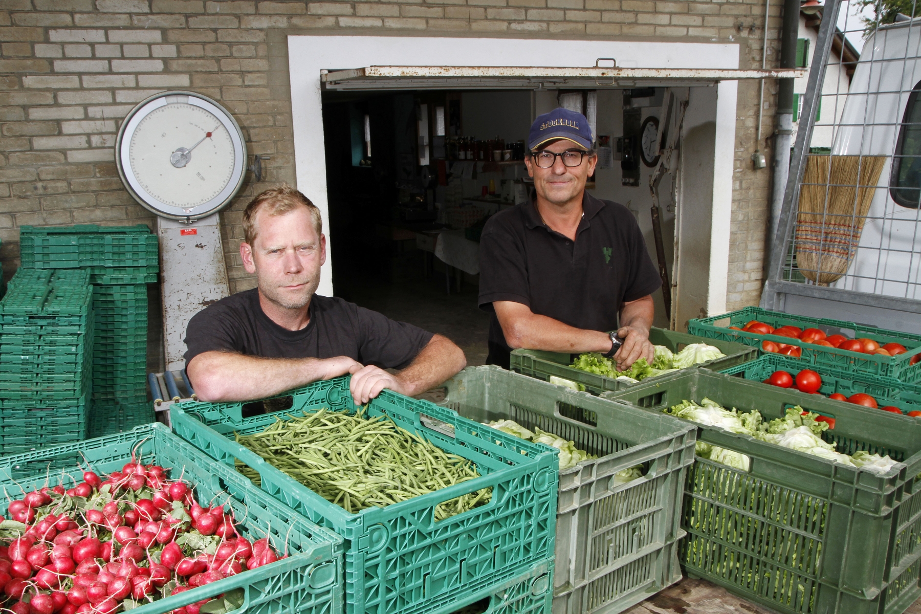Christophe Borboën et Christian Rossier préparent des caisses de fruits et légumes dans lesquelles les abonnés des Jardins d'Ouchy se servent,en quantités recommandées par les producteurs pour remplir eux-mêmes leurs paniers. 