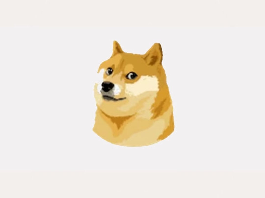 Ce Shiba Inu, logo de la cryptomonnaie DogeCoin basé sur un meme, a remplacé l'oiseau bleu.