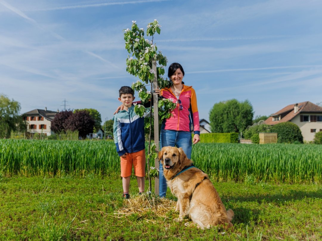 Au Domaine de Sous-Cor, à Eysins, les arbres sont encore jeunes mais Alicia Perego, son fils Oliver et la mascotte du lieu Denver en sont certains, l'agroforesterie est une des clés de la transition écologique de l'agriculture.