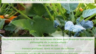 Journée d'initiation à la permaculture