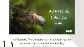 Festival du Film Vert "Au pays de l'abeille noire"