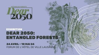 Vernissage "Dear2050:Entangled Forests"