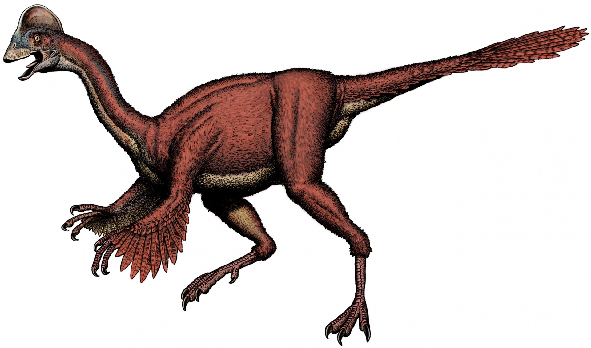 La préhistoire a compté deux espèces de dinosaures de plus qu'on ne l'imaginait. (Illustration)