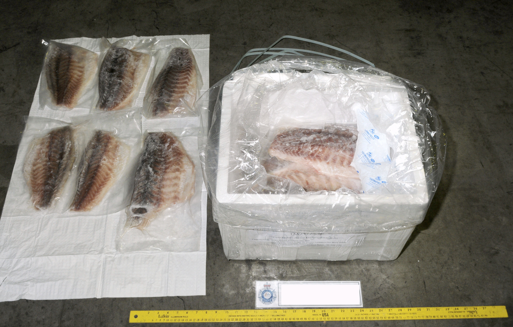 88 kilos d'héroïne et 21 kilos de méthamphétamines, c'est le butin récolté par les services de police australiens. La cachette a de quoi surprendre: un container de poissons surgelés.