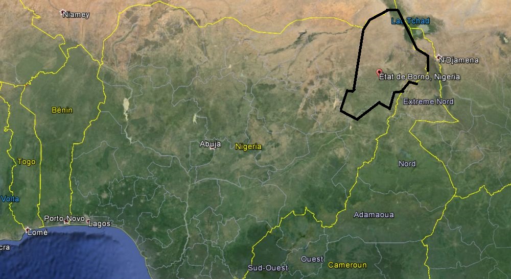 L'attaque s'est déroulée à Ngambu, dans l'Etat de Borno (nord-est).