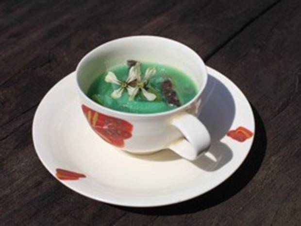 Deux artistes japonais proposent une soupe dont les ingrédients proviennent de Fukushima. Tentés?