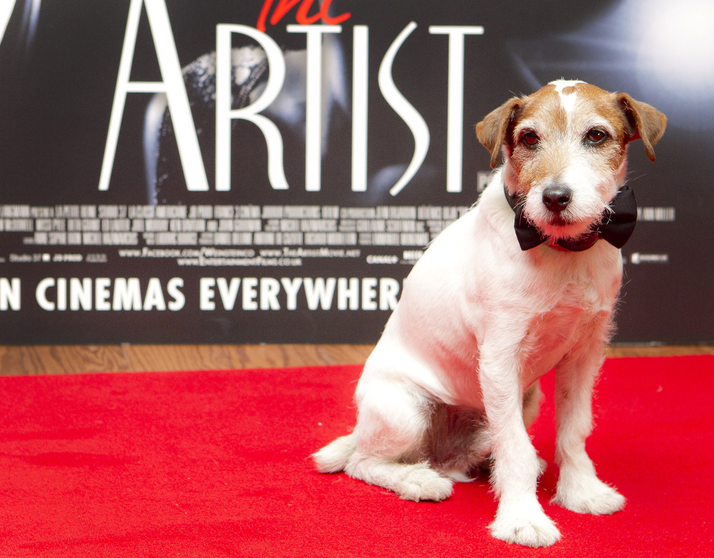 Uggie, le terrier Jack Russell de "The Artist", est décédé la semaine dernière à l'âge de 13 ans.