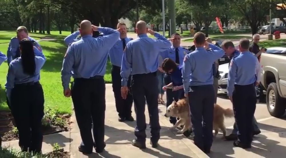 Afin de lui rendre hommage, une douzaine de pompiers ont formé une haie d'honneur tandis que la chienne pénétrait dans une clinique vétérinaire pour y être euthanasiée.