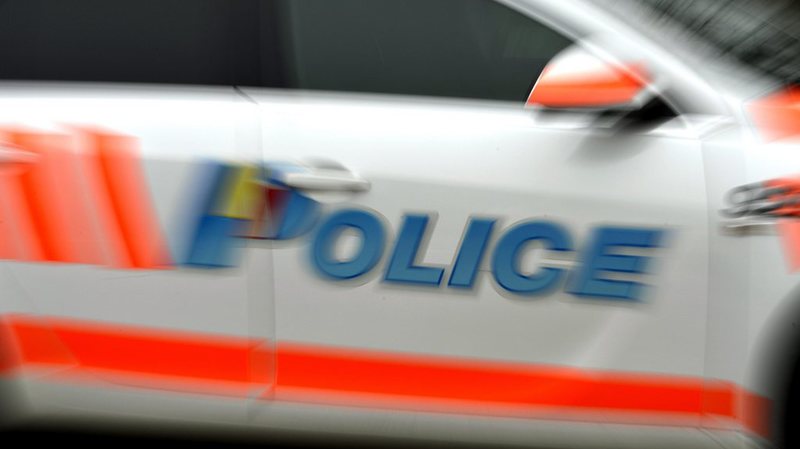 Un automobiliste, qui venait de dépasser une autre voiture, a percuté la malheureuse, informe la police cantonale genevoise.