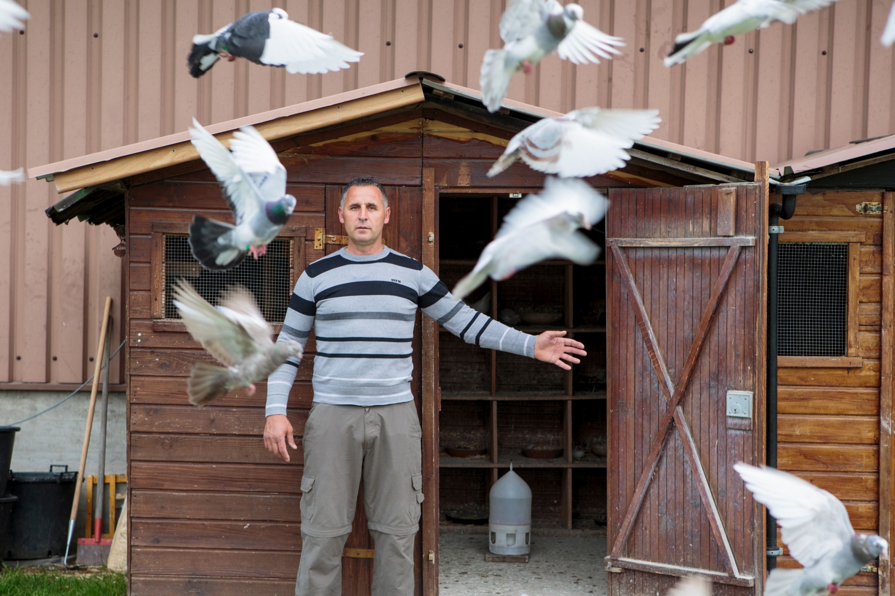 Gland, mercredi 18 mai 2016Avni Muharremi, éleveur de pigeons acrobatiques à GlandSigfredo Haro