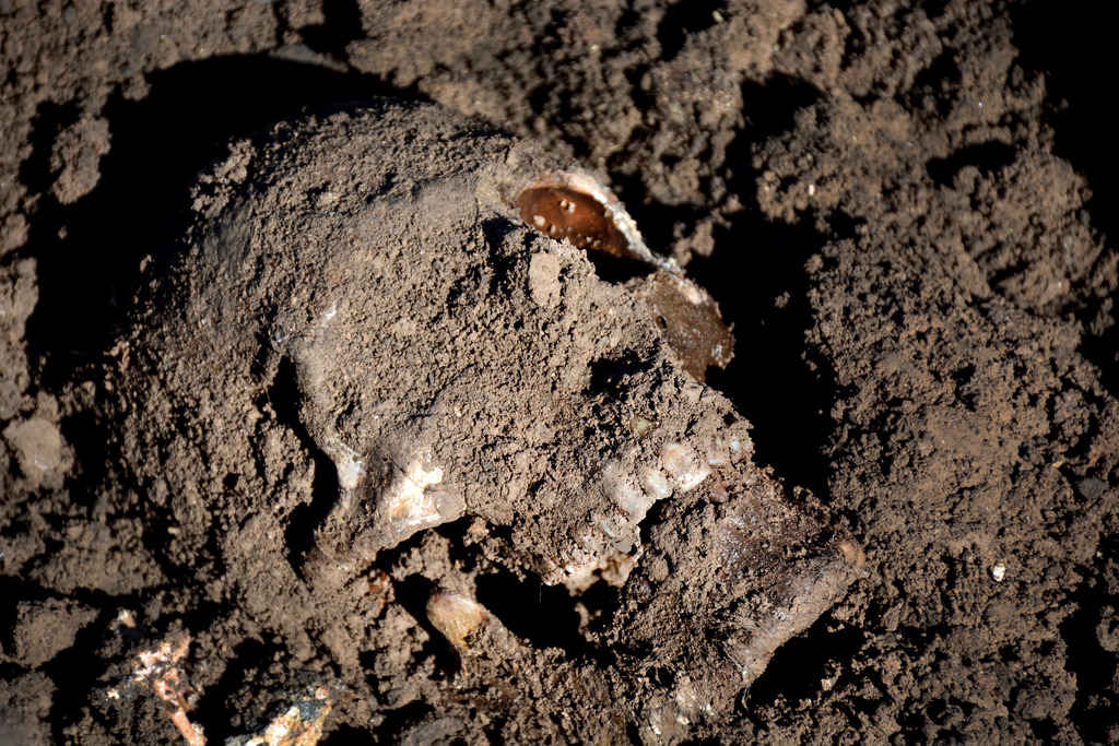 Le squelette appartient probablement à une personne disparue.