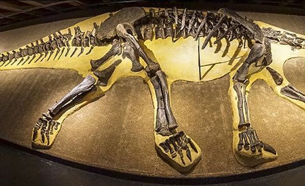 Les dinosaures à l'honneur de l'exposition du Muséum de Genève. L'établissement fête ses 50 ans.