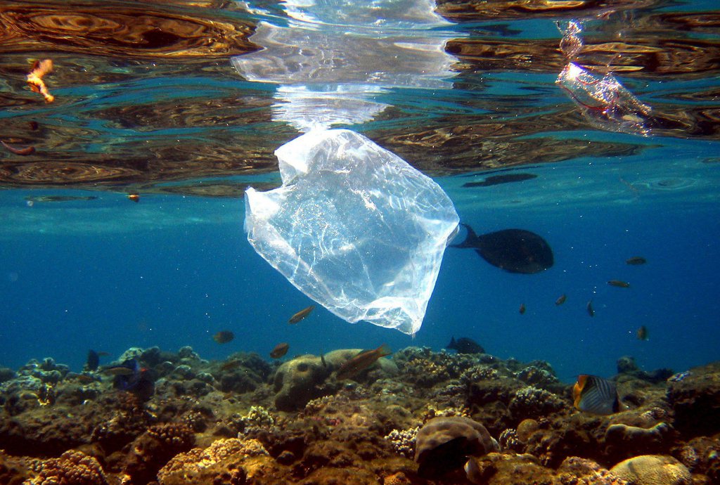 Aujourd'hui, 70% des emballages plastiques peuvent être réutilisés ou recyclés, mais quid des 30% restants? 