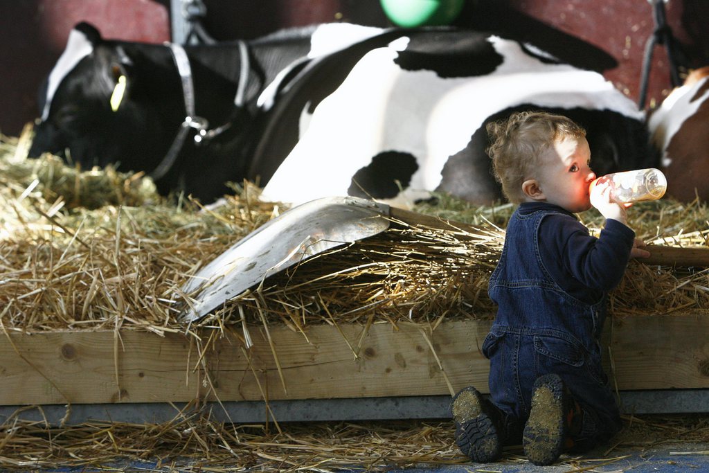 Les enfants qui ont grandi à la ferme ont tendance à avoir moins d'allergies que les autres.