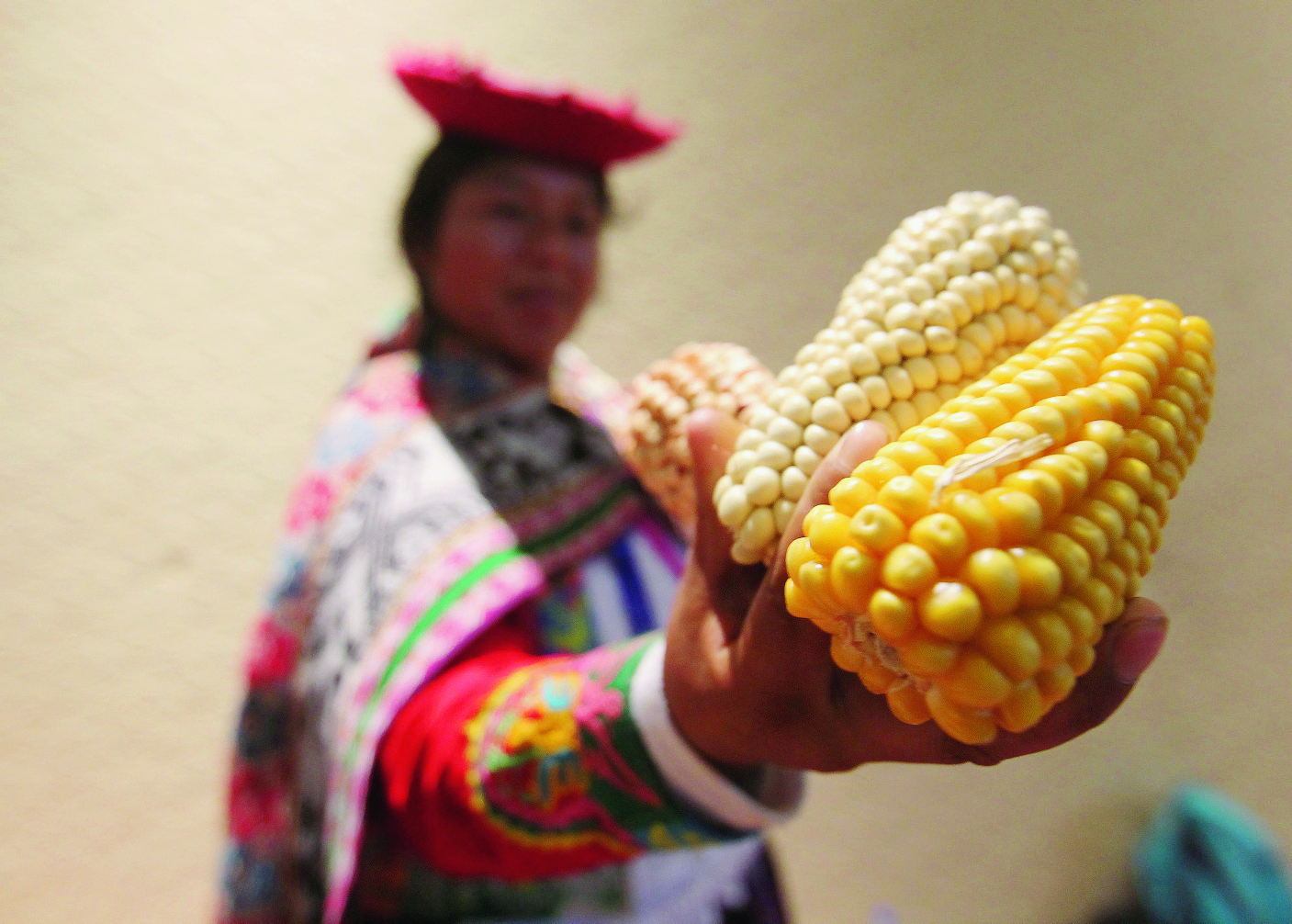epa05661712 A Mexican indigenous woman protests against the production of genetically modifyed corn during the start of the Green Solutions 2016 event at the UN Biodiversity Conference in Cancun, Mexico, 05 December 2016. The conference, governened by the Conference of Parties, is organized to ensure the implementation of international agreements to protect biodiversity.  EPA/ALONSO CUPUL MEXICO CLIMATE CHANGE