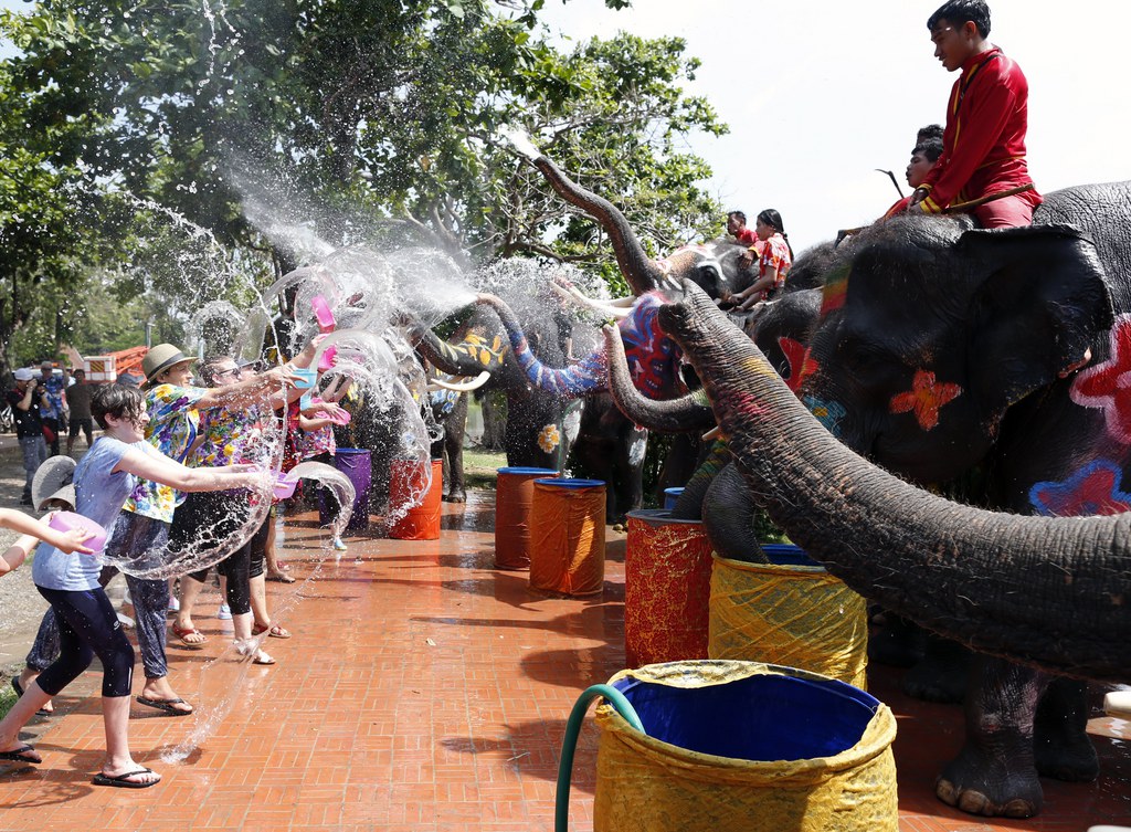 Parmi les 2'923 éléphants recensés dans l'industrie du tourisme, 2'198 se trouvent en Thaïlande.
