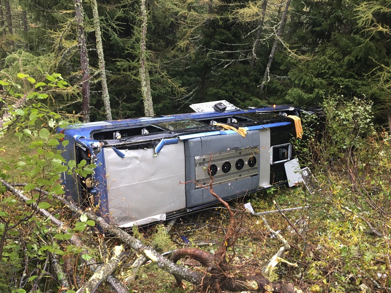 L'autocar s’est immobilisé dans la forêt après avoir dévalé le talus sur une vingtaine de mètres.