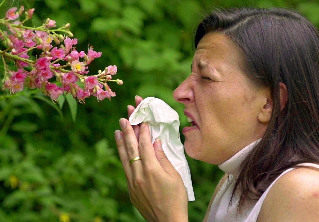 L'allergie au pollen est la plus répandue sous nos latitudes.