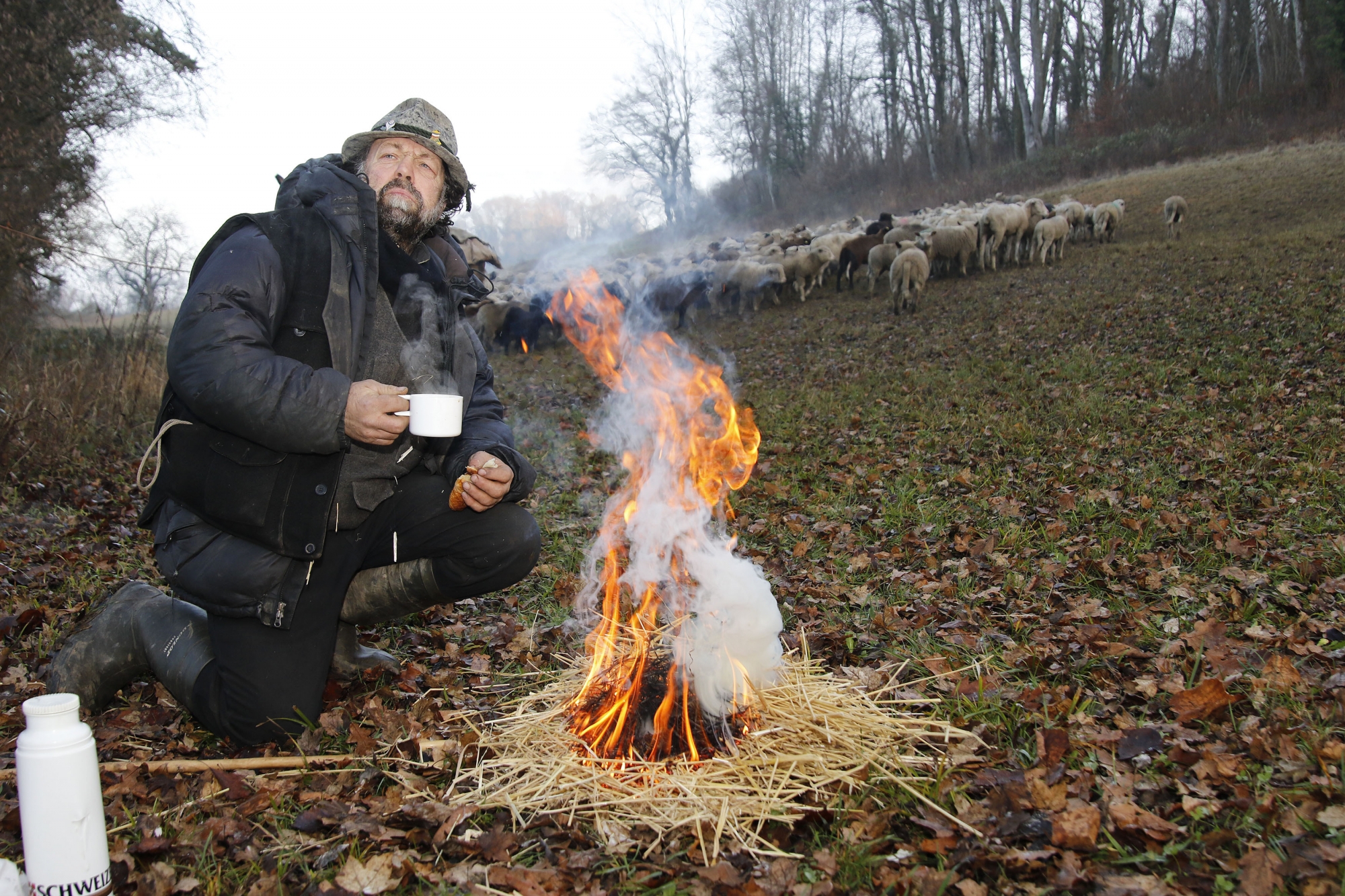 Avant d'entamer une longue marche avec ses bêtes, le berger Nicola Toscano profite d'une pause café à la chaleur d'un feu. Le Grison avait dormi dans sa fourgonnette à deux pas des moutons, à l'abri d'une clairière sous la commune de Bavois. Les agneaux et agnelles sont propriété des frères Benzoni à Aubonne.