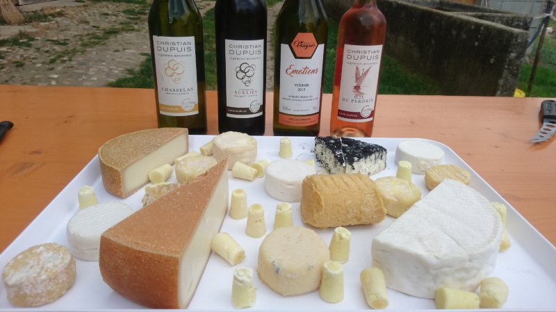 Dégustations vins et fromages de chèvre