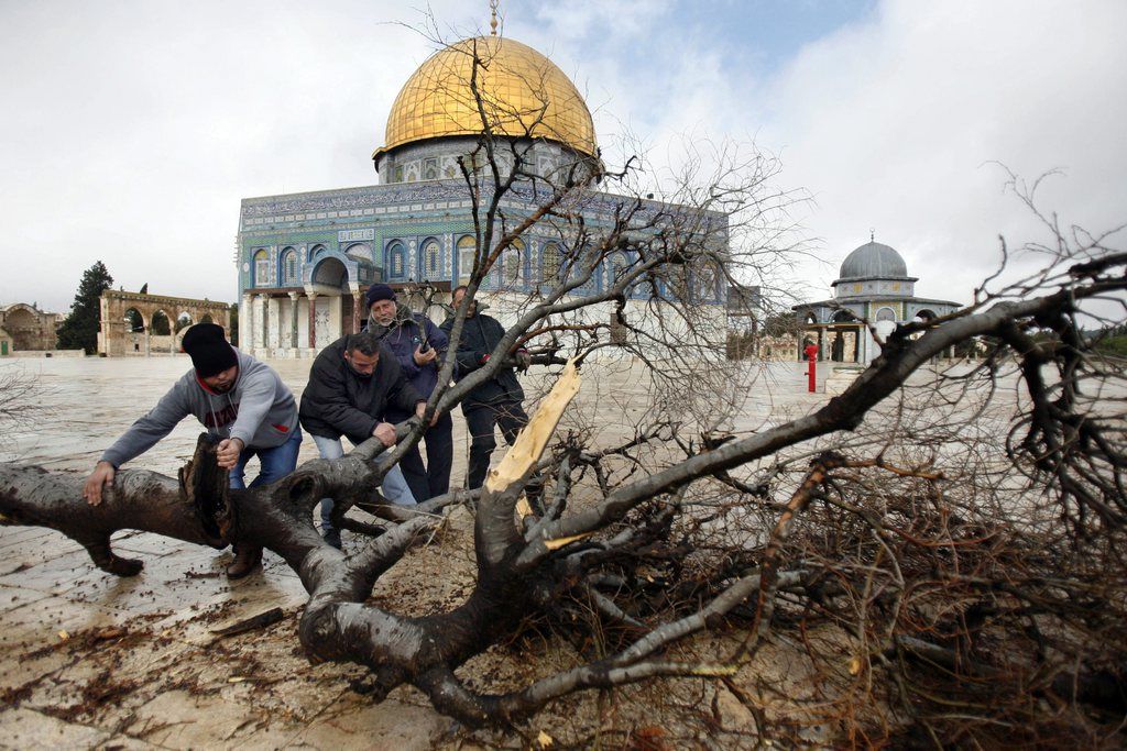 un arbre est tombé à cause de la météo devant le Dôme du Rocher à Jérusalem.