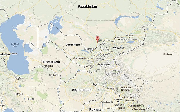 L'avion s'est écrasé à proximité de Shymkent. 