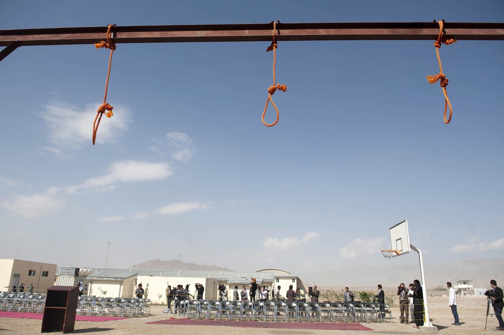 Le nombre d'exécutions a augmenté dans plusieurs pays, notamment aux États-Unis (25), au Japon (15), à Singapour (13) au Soudan du Sud (7) et au Belarus (4).