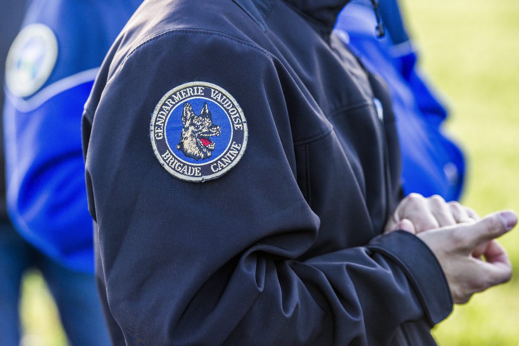La gendarmerie vaudoise a interpellé 4 truands qui ont commis des délits dans le Chablais vaudois et valaisan.