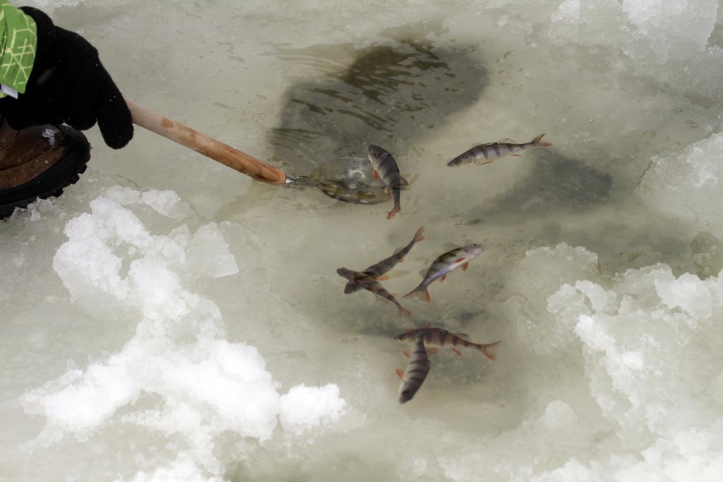 La pêche sur glace est presque un sport national en Lettonie. 