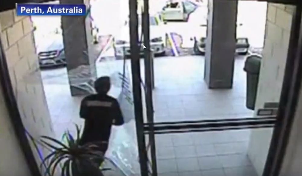 Un voleur à la tire de Perth (Australie) a fait une bien mauvaise rencontre en fuyant le lieu de son larcin!