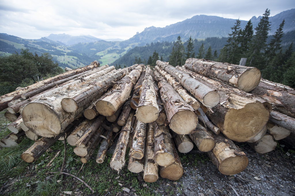 Désormais, seul le bois récolté et commercialisé de manière légale pourra être mis sur le marché en Suisse.