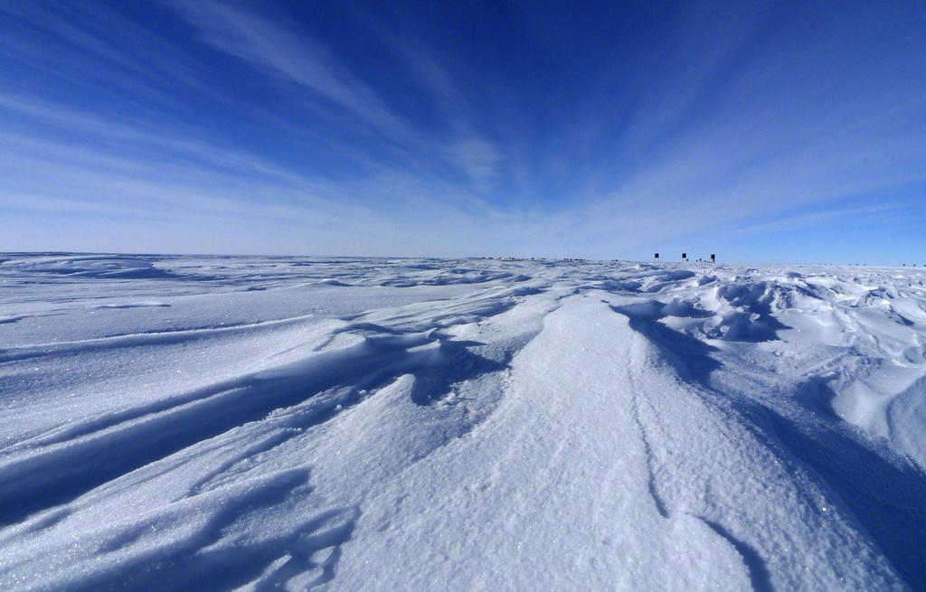 La riche biodiversité du continent est préservée dans un équilibre ancien par le froid extrême et l’isolement de l’Antarctique. (illustration)
