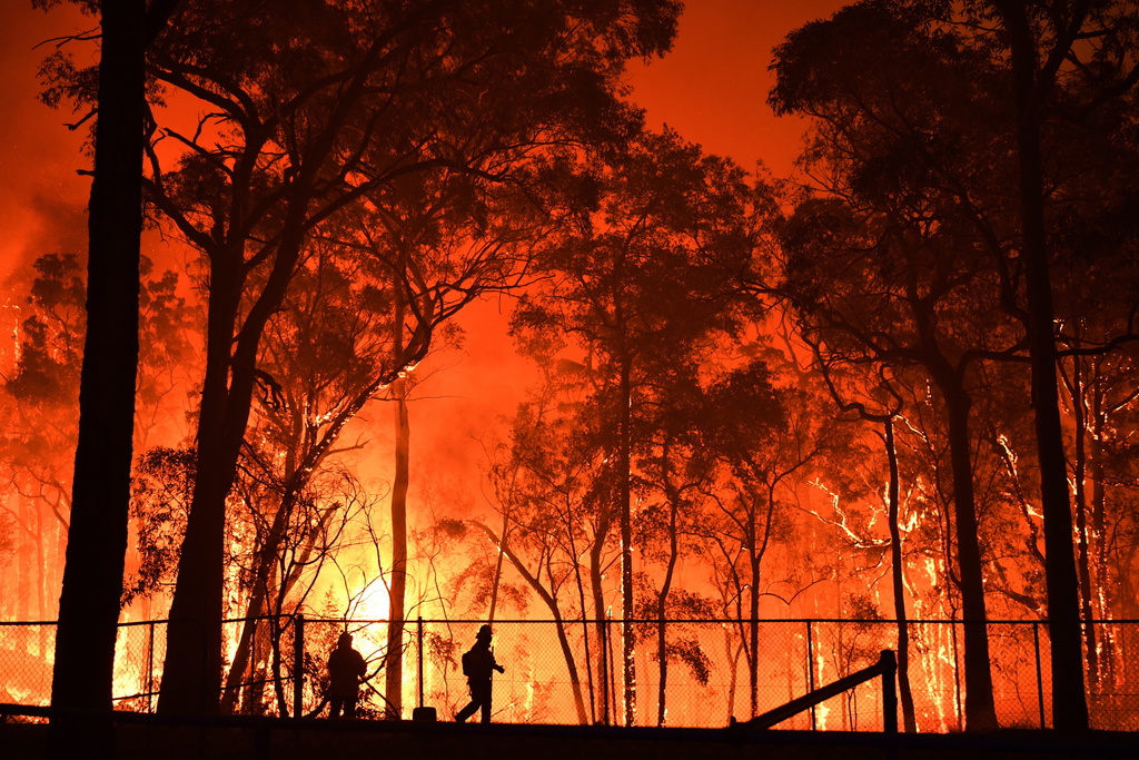 Depuis le début du mois d'octobre, six personnes ont perdu la vie à cause des incendies en Australie. 