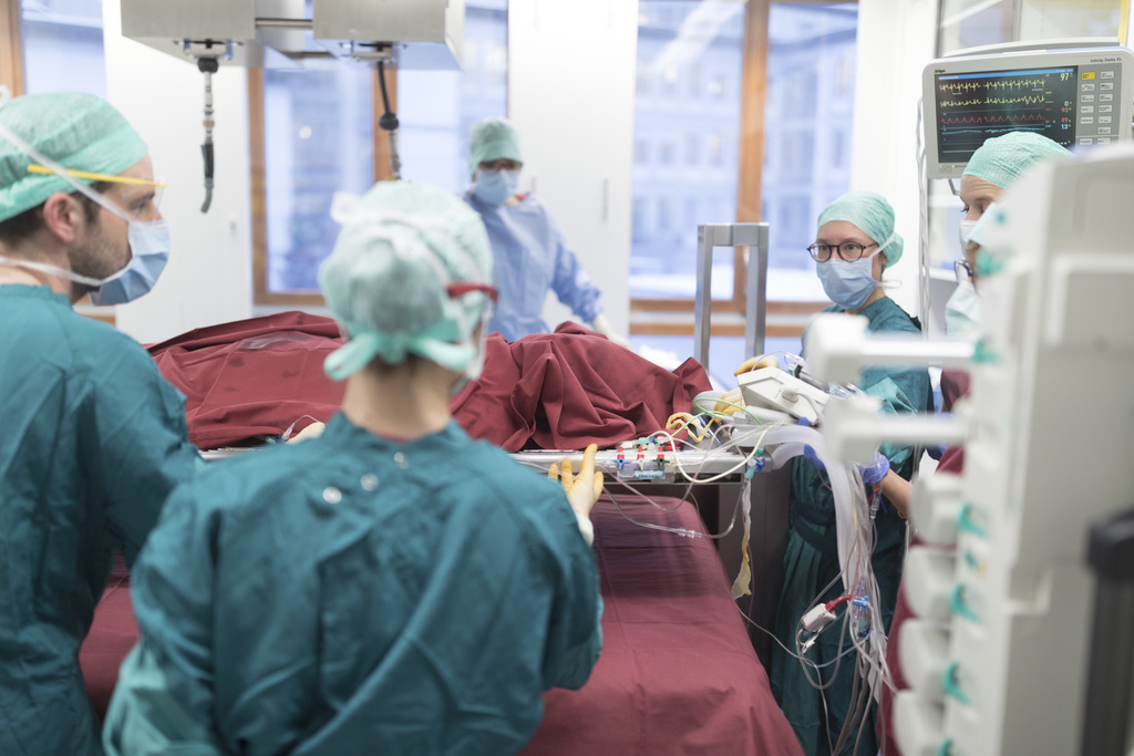 Les transplantations les plus courantes concernent les reins et le foie.