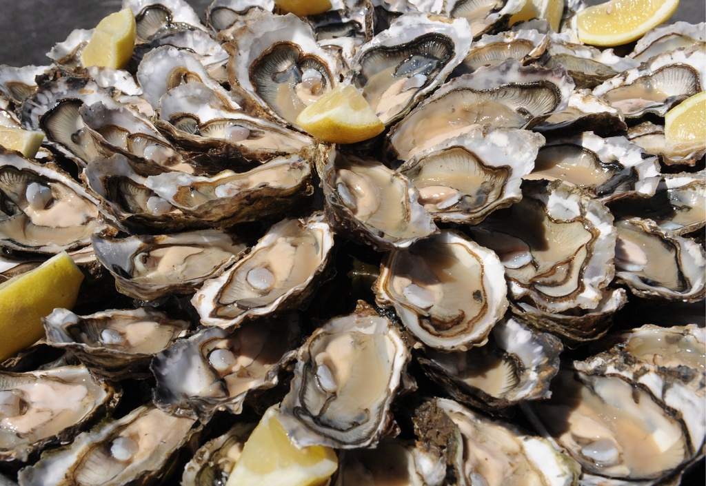 Les huîtres et moules concernées sont impropres à la consommation.