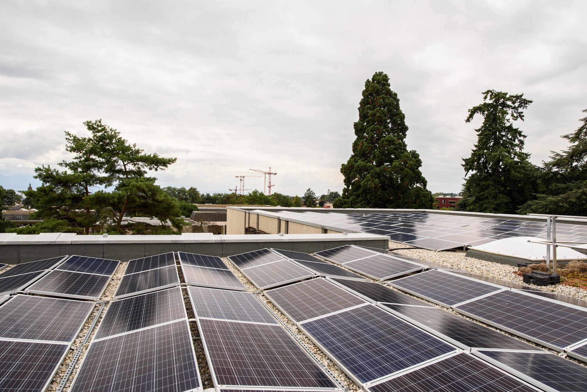 En 2017 déjà, la Ville de Morges avait installé des panneaux solaires sur le toit de l'un des bâtiments du collège de Beausobre.
