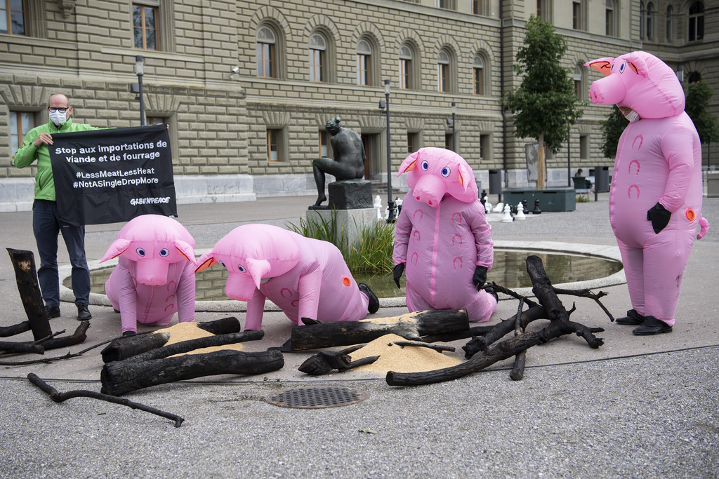 La pétition a été remise lundi matin à la Chancellerie fédérale à Berne, par Greenpeace.